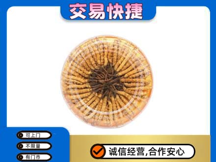 淄博高价回收虫草礼盒